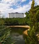 Renaissance Austin