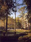 DoubleTree by Hilton Houston Intercontinental Airp