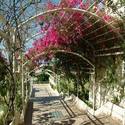 Sunshine Hotel Crete