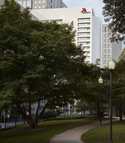 Marriott Charlotte City Center