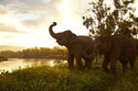 Anantara Resort & Spa Golden Triangle