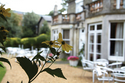 Best Western Gonville