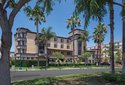 Peacock Suites