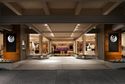 The Phoenician