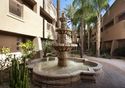 Sheraton Desert Oasis Villas, Scottsdale