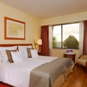 Altis Suite